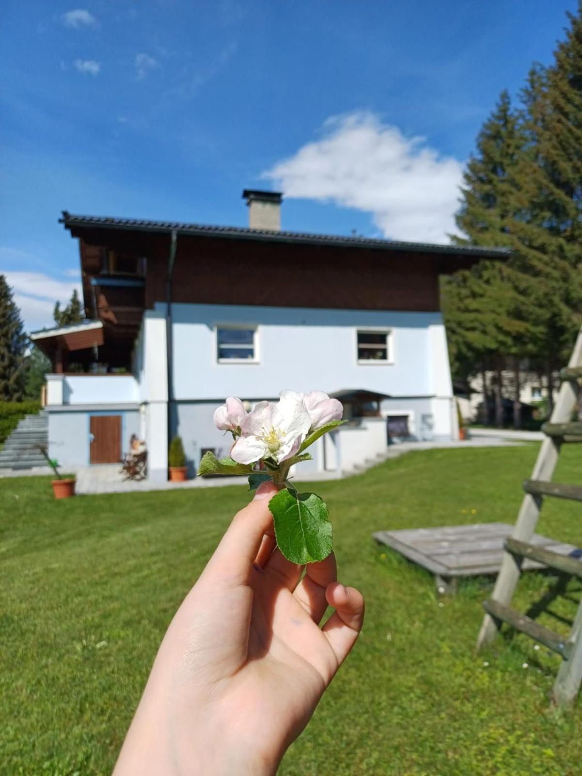Appartements Am See Neukirchen am Großvenediger 외부 사진